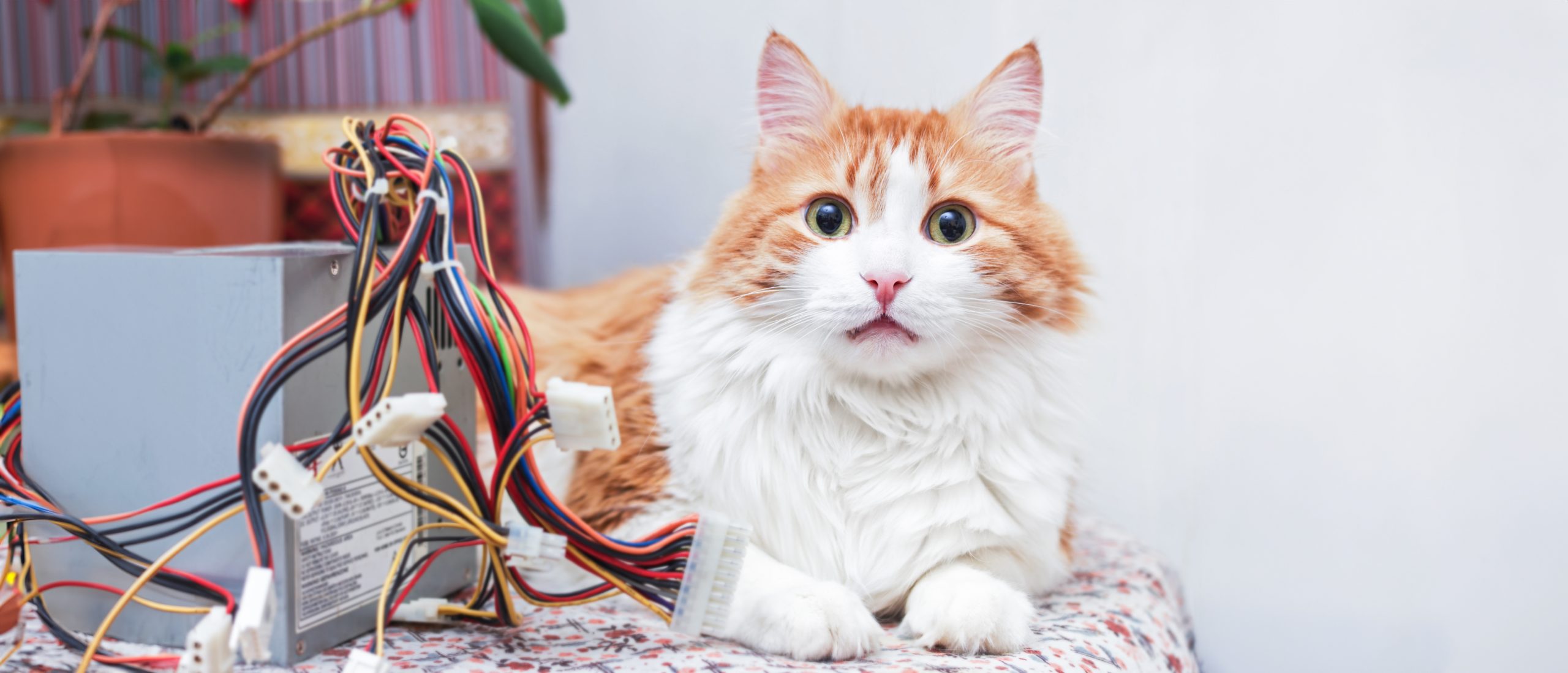 Easy and Affordable Cable Management Solutions